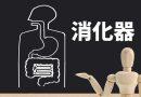 消化器