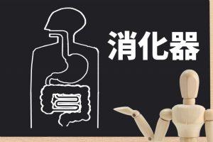 消化器